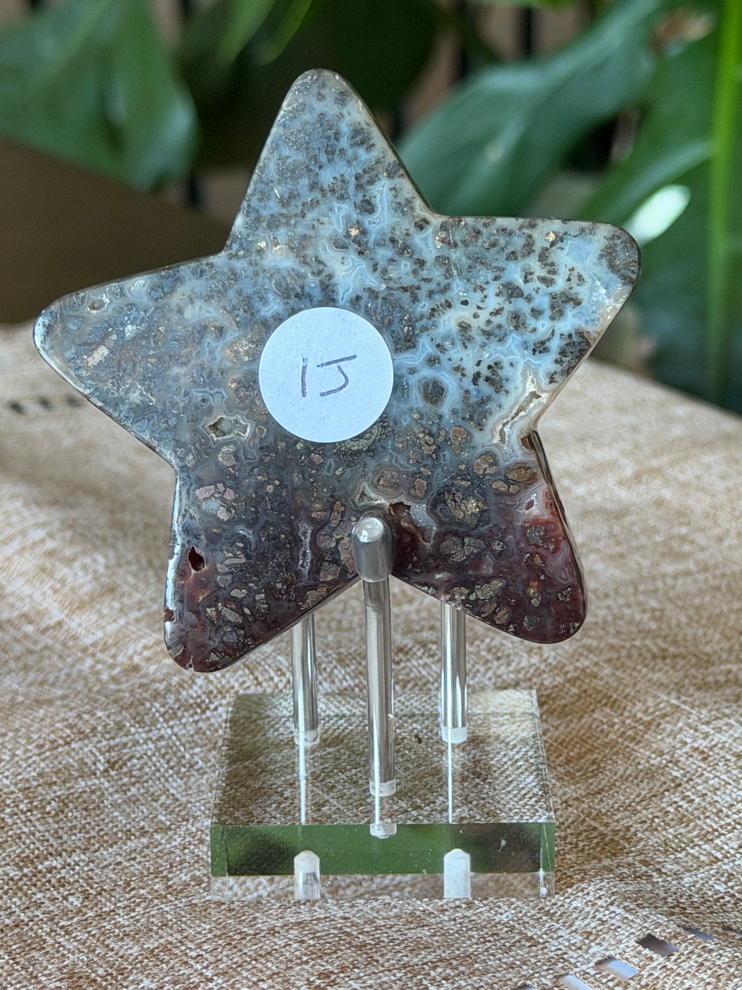 Red Marcasite Stars