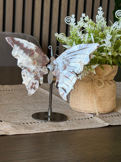 Mexican Crazy Lace Agate Butterfly on Stand