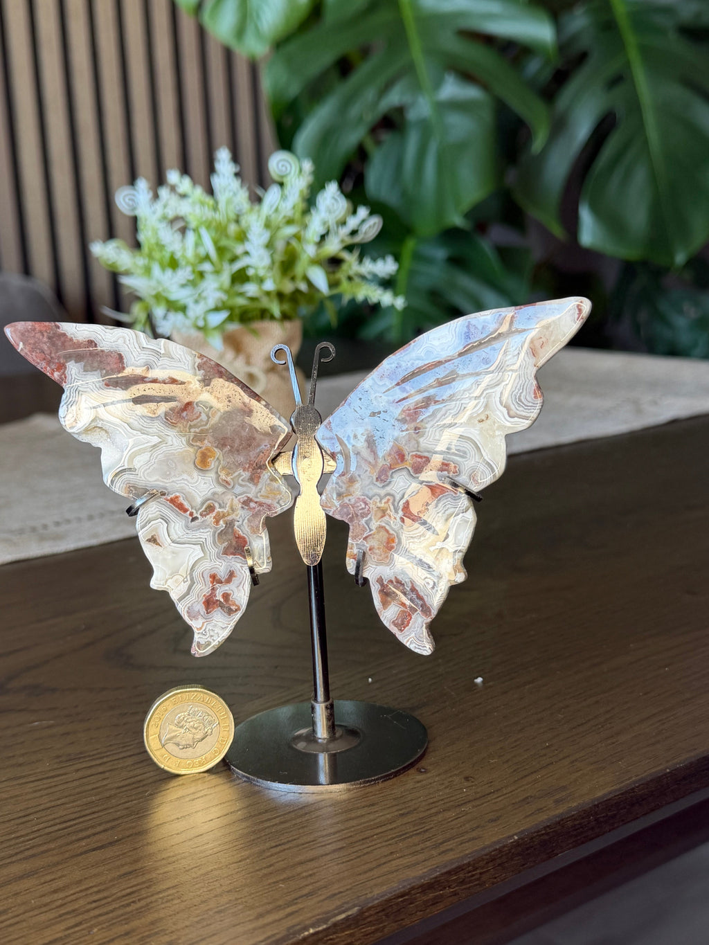 Mexican Crazy Lace Agate Butterfly on Stand