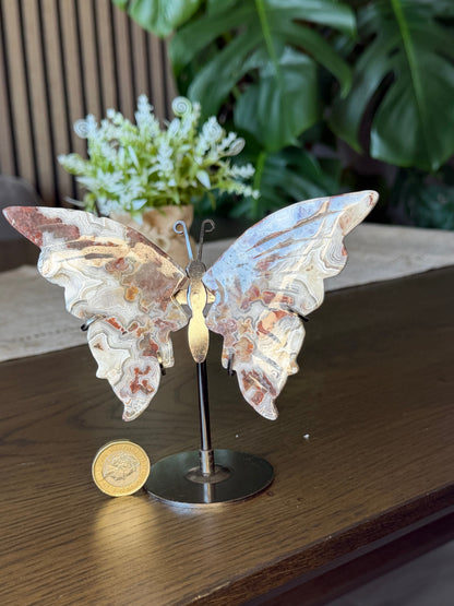 Mexican Crazy Lace Agate Butterfly on Stand