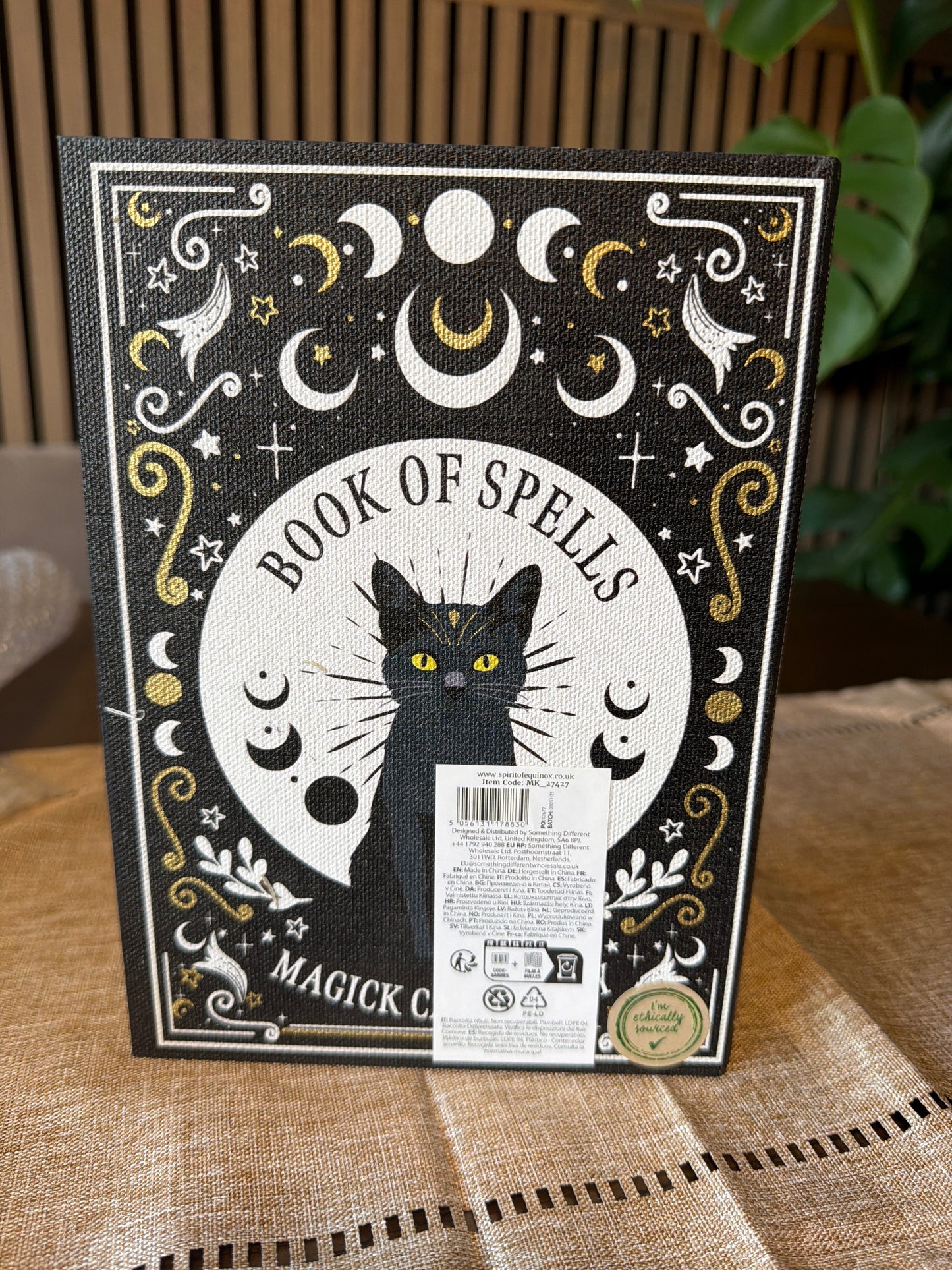Book of Spells Magick Cat Energy Secret Storage Book Box