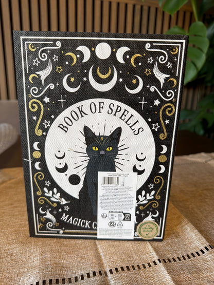 Book of Spells Magick Cat Energy Secret Storage Book Box
