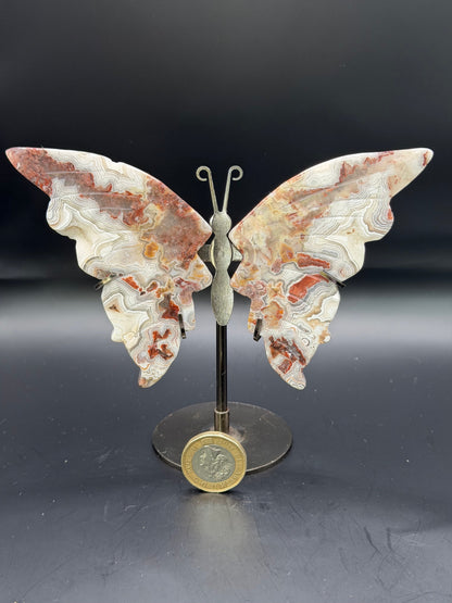 Mexican Crazy Lace Agate Butterfly on Stand