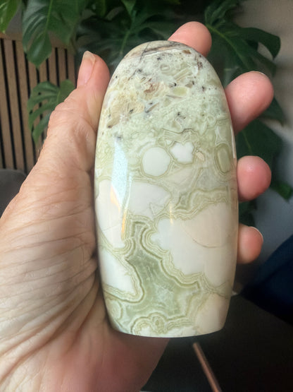 Unique Green Maligano Jasper Freeform