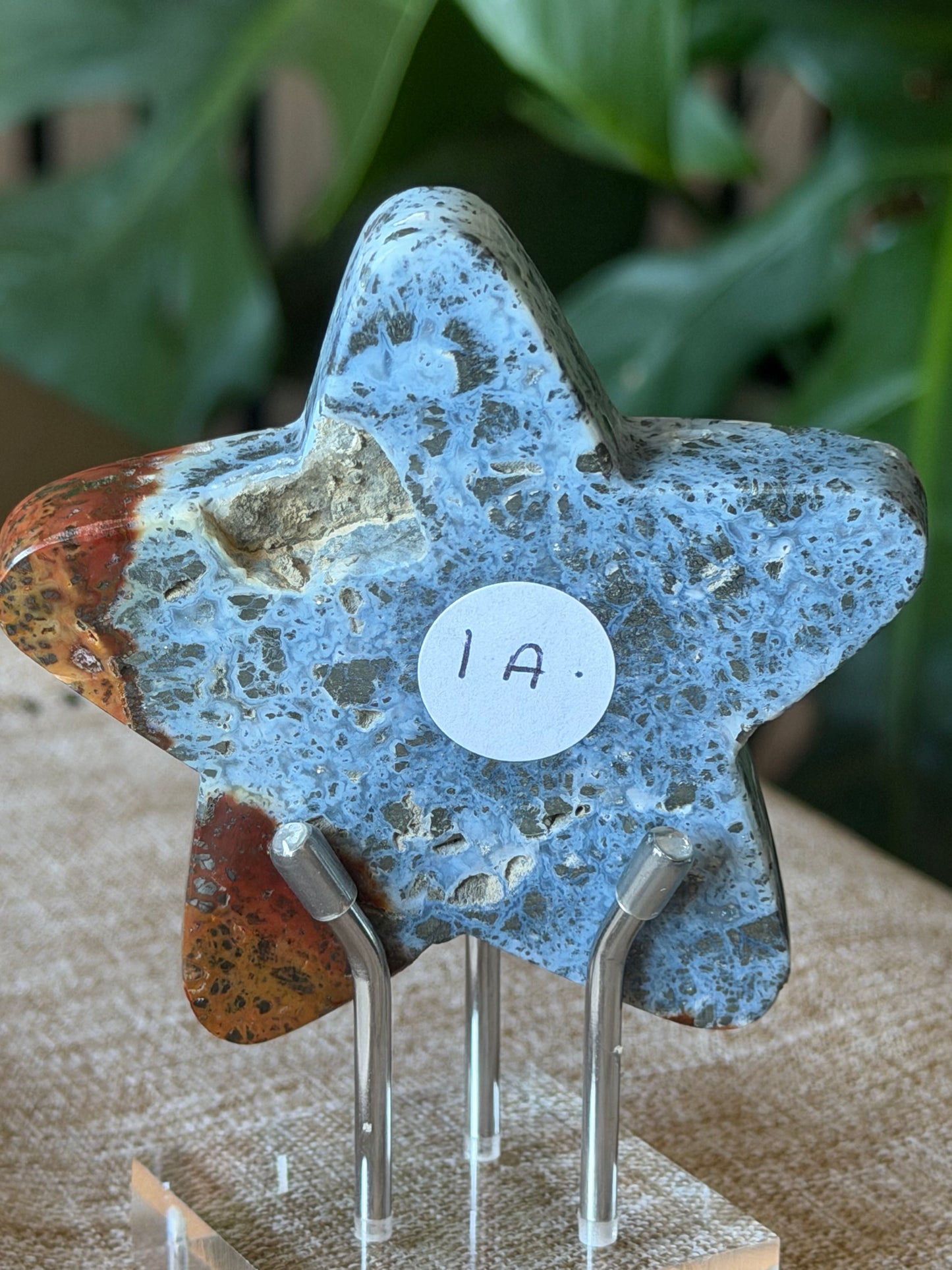 Red Marcasite Stars