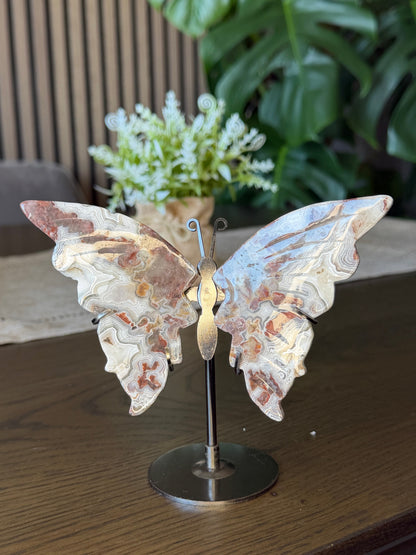 Mexican Crazy Lace Agate Butterfly on Stand