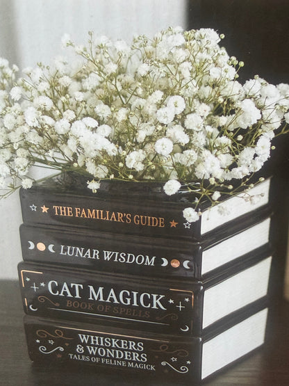 Cat Magick Stacked Books Ceramic Vase