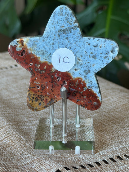 Red Marcasite Stars