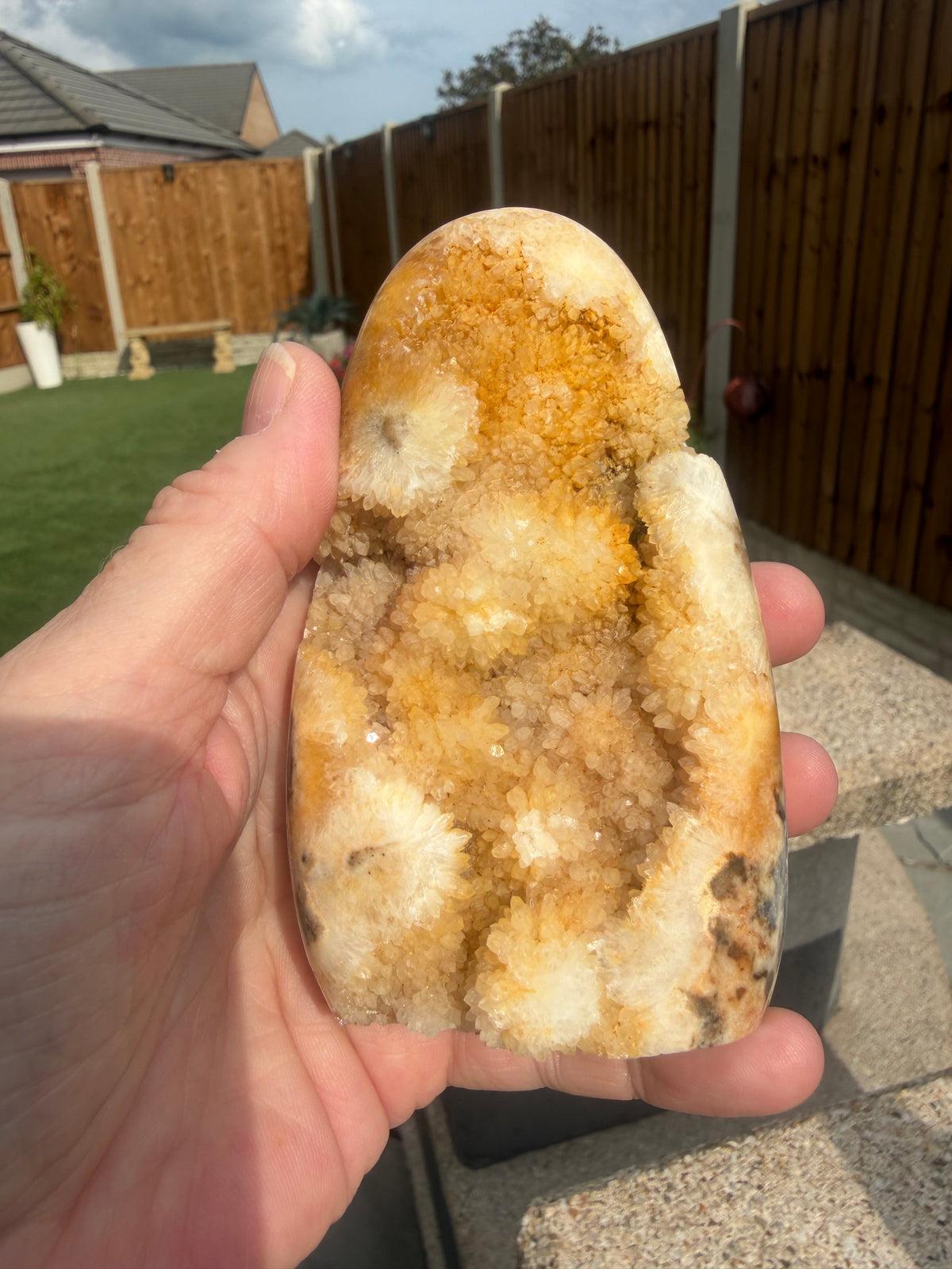 Druzy Sphalerite Freeforms
