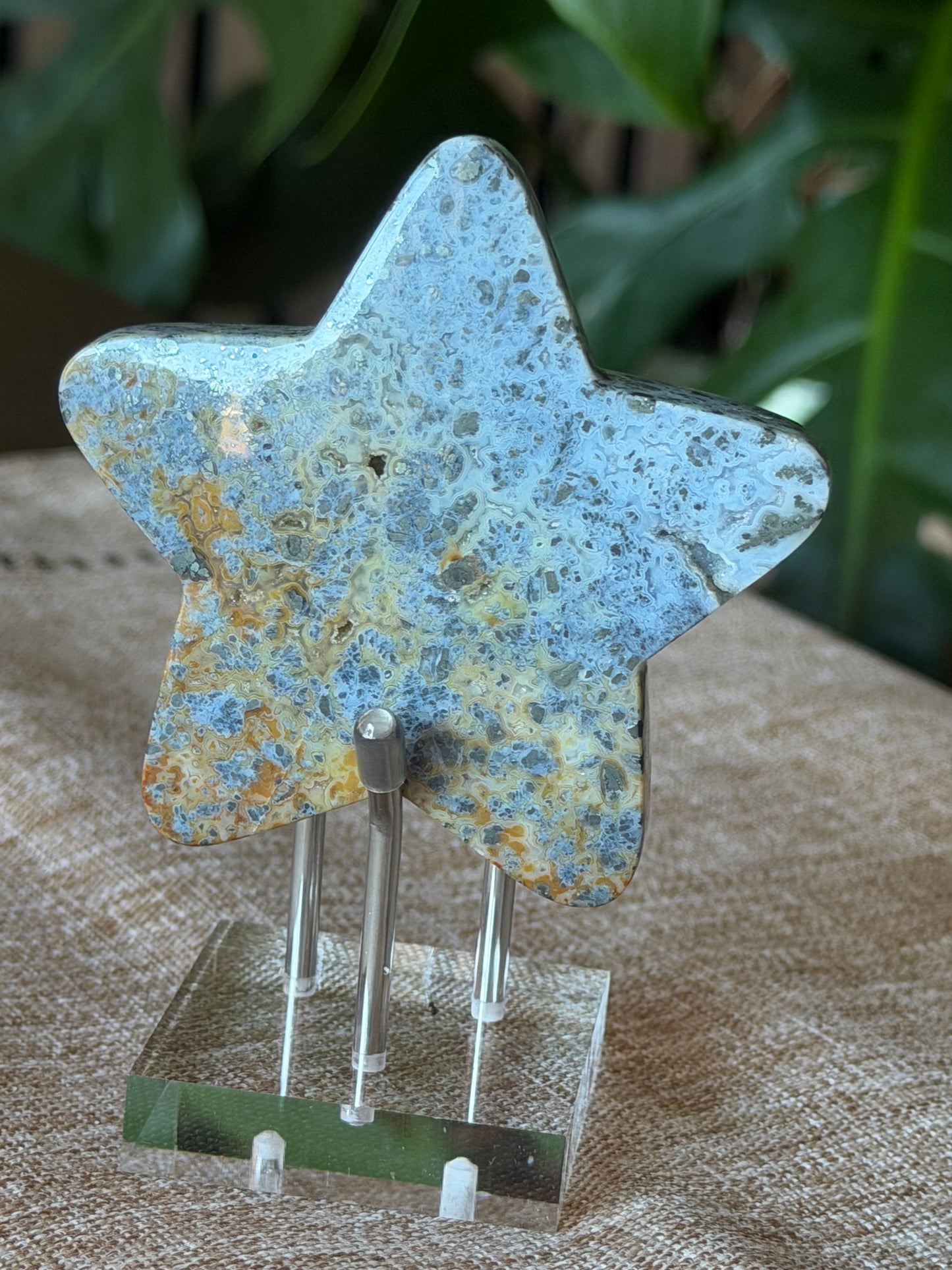 Red Marcasite Stars