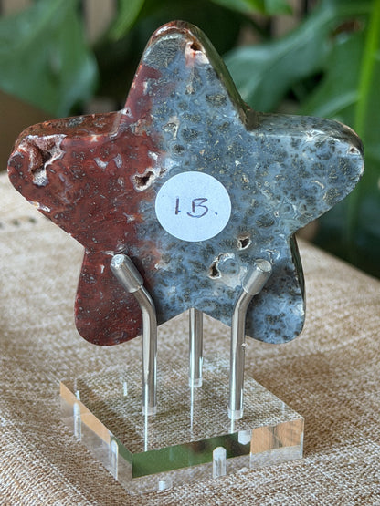 Red Marcasite Stars