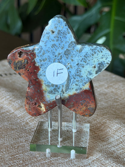 Red Marcasite Stars