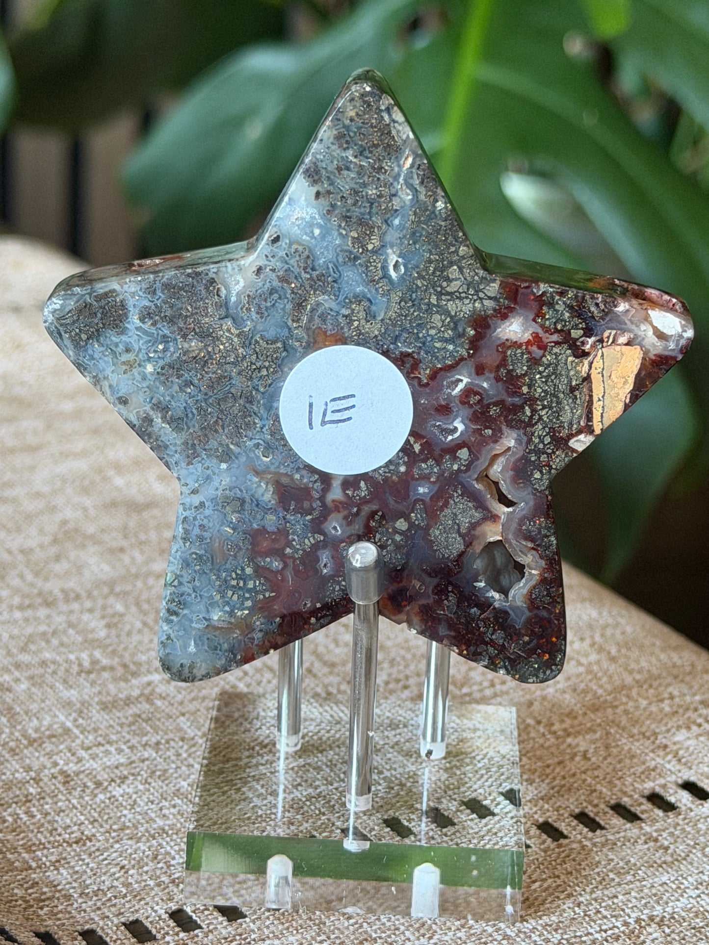 Red Marcasite Stars