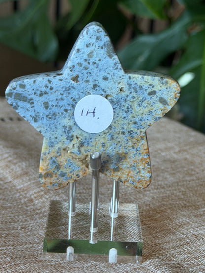 Red Marcasite Stars