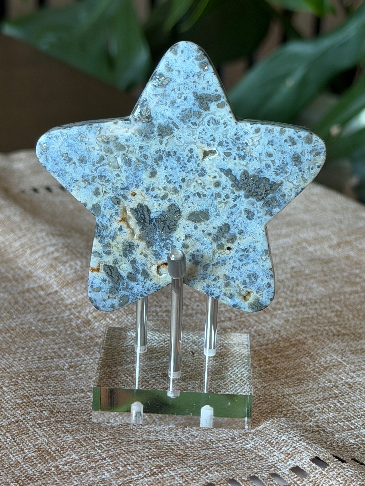 Red Marcasite Stars