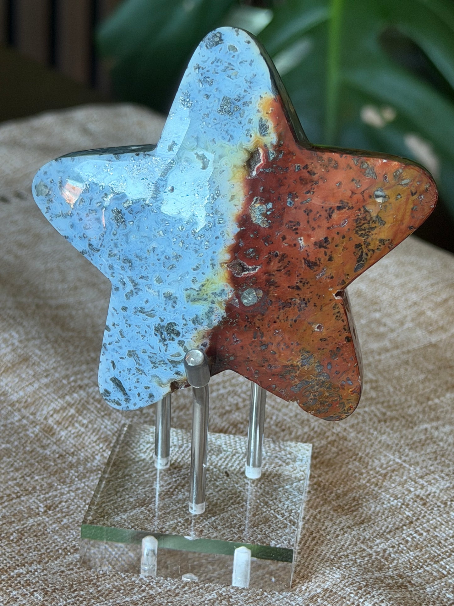 Red Marcasite Stars