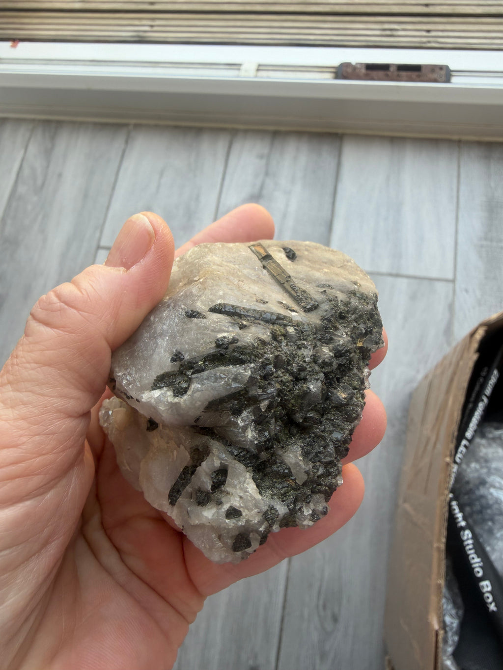 Black Tourmaline in Quartz