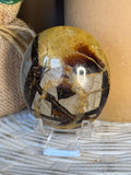 Septarian Palm Stone