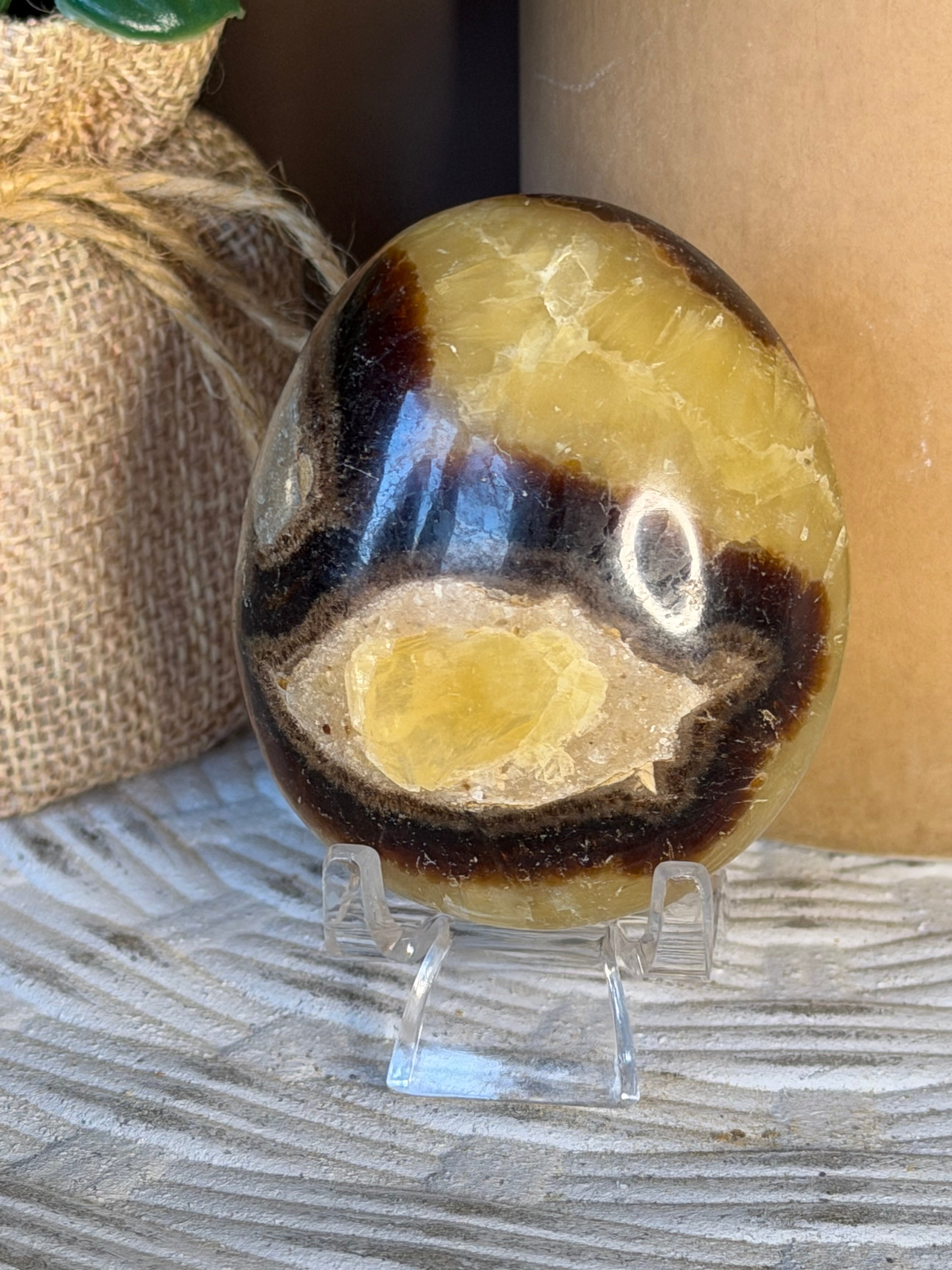 Septarian Palm Stone