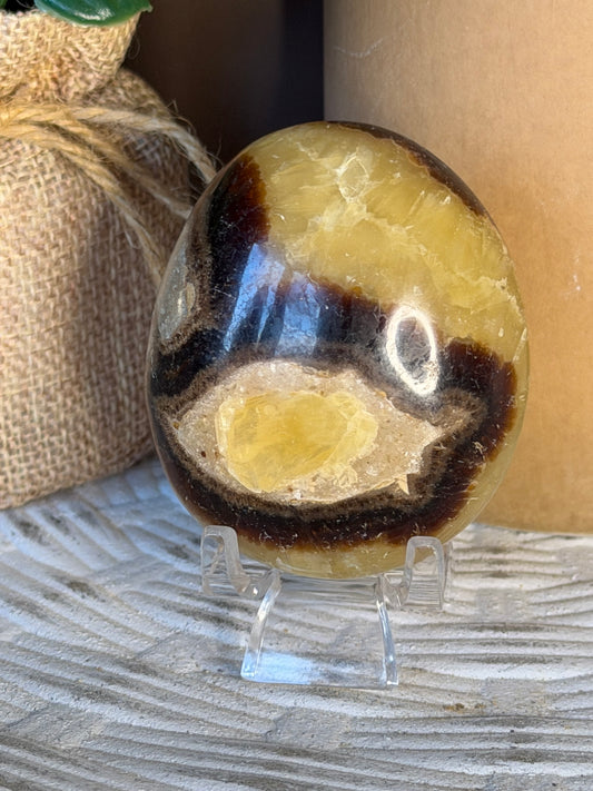 Septarian Palm Stone