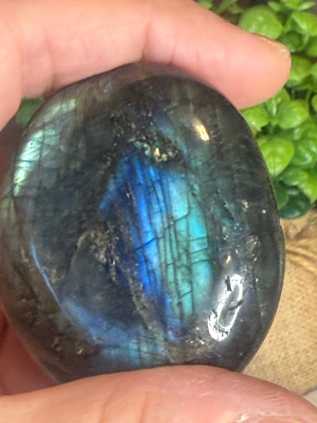 Labradorite Palm Stone